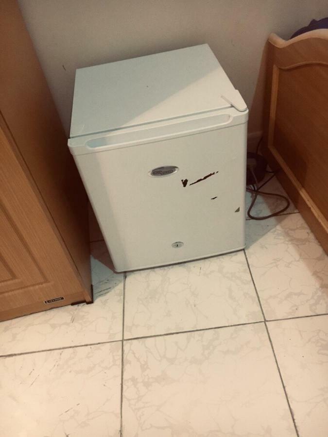 Rent In Appartmnt